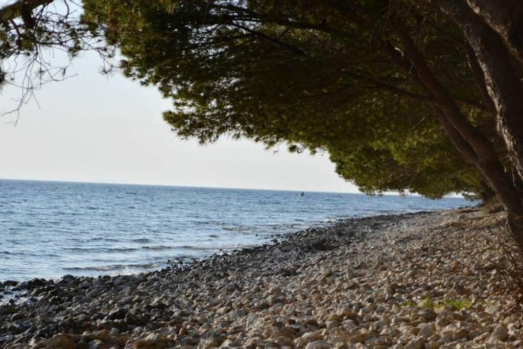 Appartamento Niko 1 Kožino Esterno foto